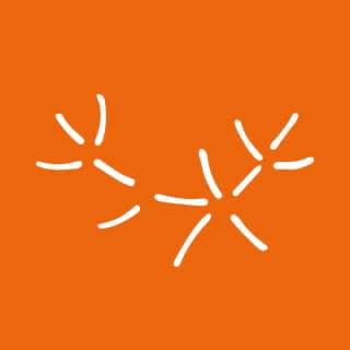 Arran Botanical Drinks logo