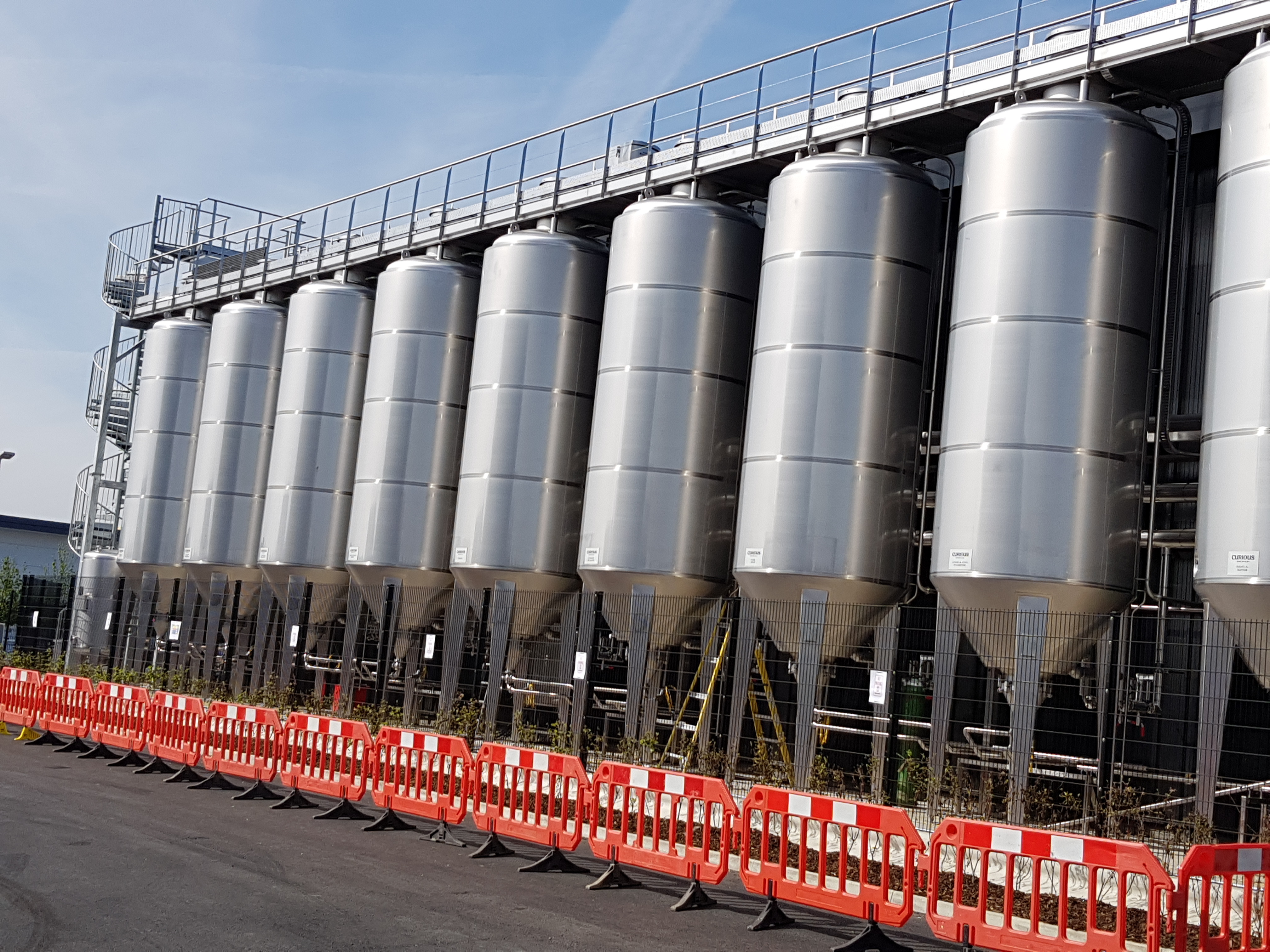Curious Brewery