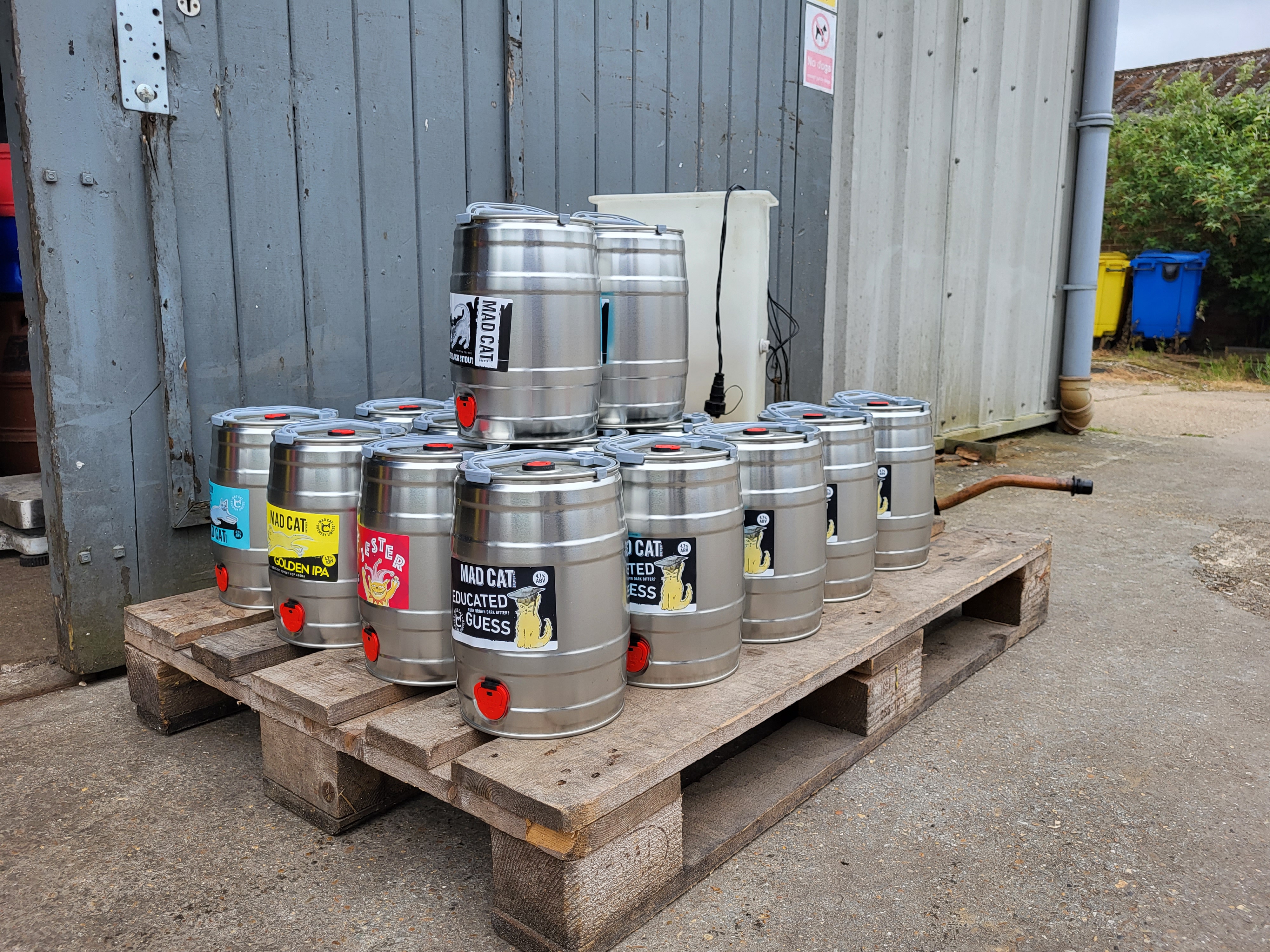 Mad Cat Brewery mini kegs