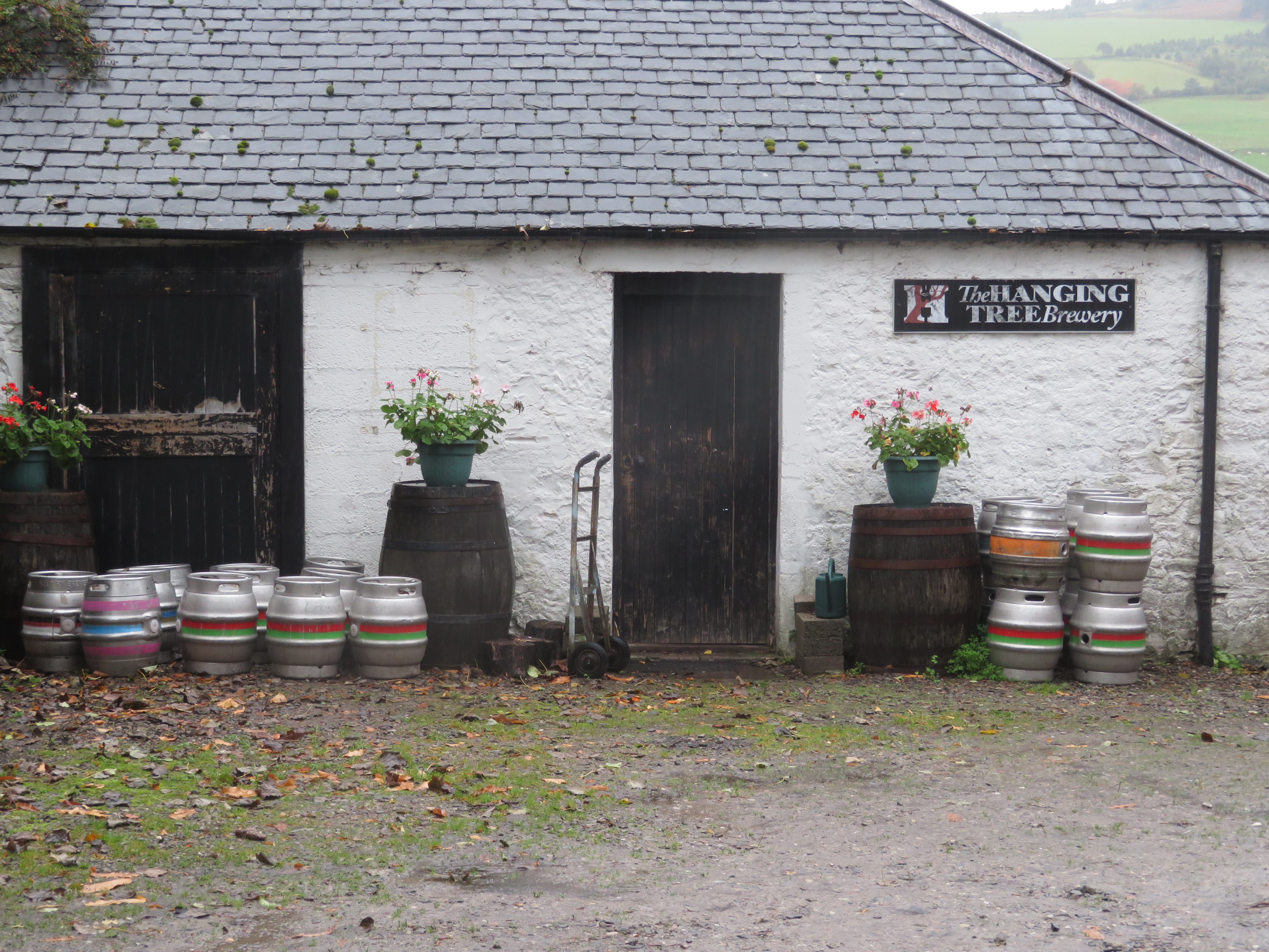 Hanging Tree Brewery