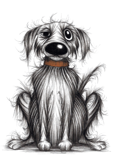Scruffy Dog 